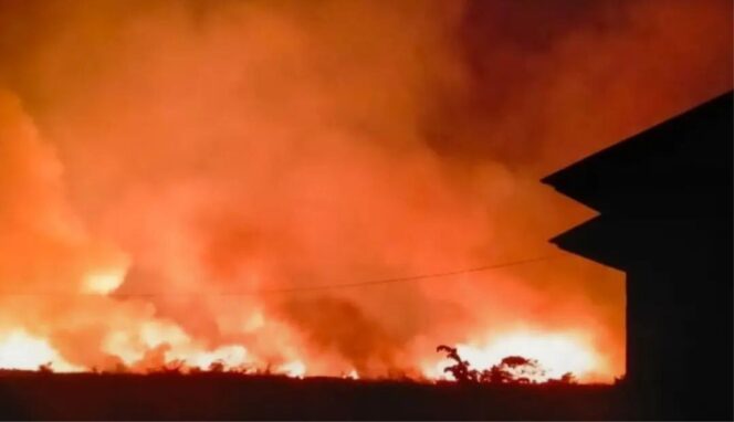 
					10 Hektare Lahan, terbakar di Desa Pasir Putih Poso