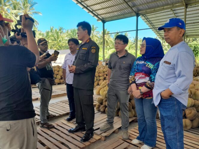 
Kunjungi Parimo, Kemenkomarves Buka Peluang Ekspor Buah Durian