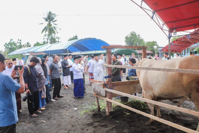
					Sapi Presiden RI Bobot 870 Kg, Diserahkan di Desa Cendana Pura Banggai